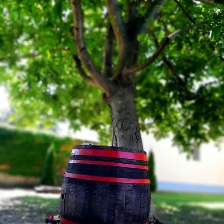 Appartement Cosa-nostra *