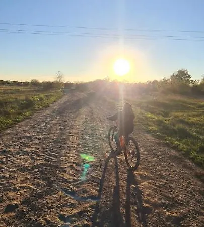 Cosa-nostra * Hajdúszoboszló